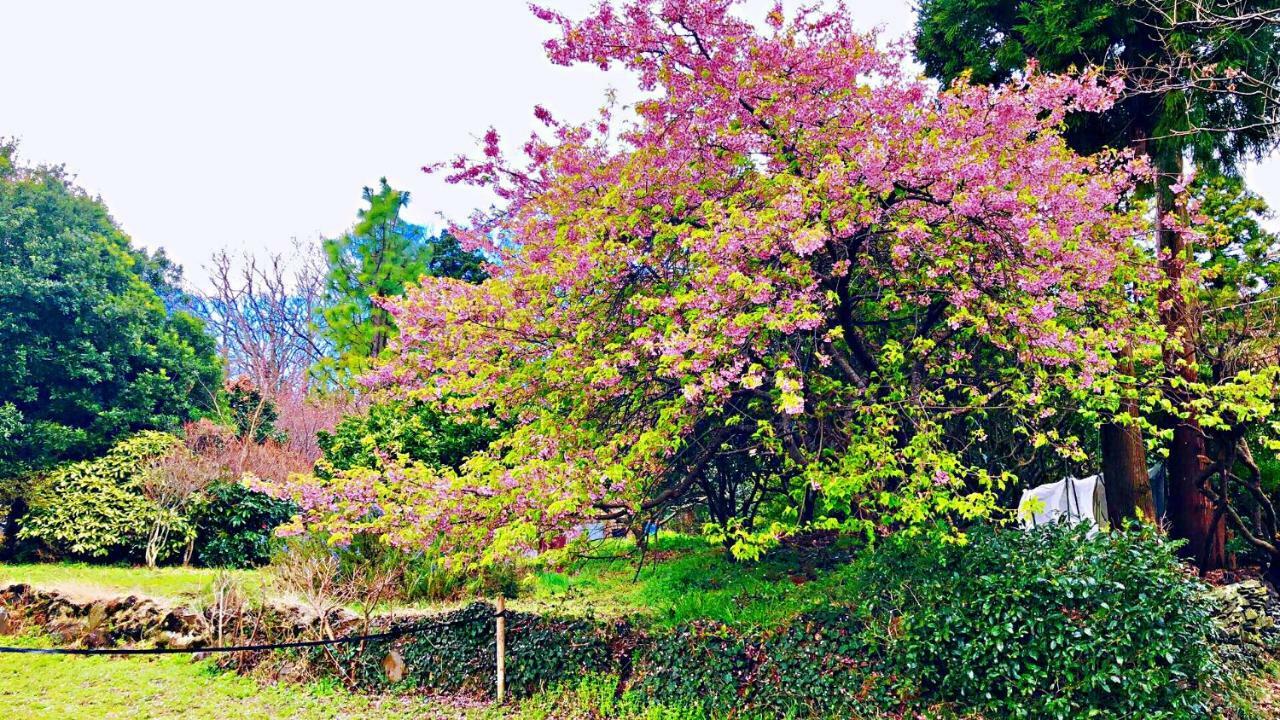 Futo Forest Villa Olive المظهر الخارجي الصورة