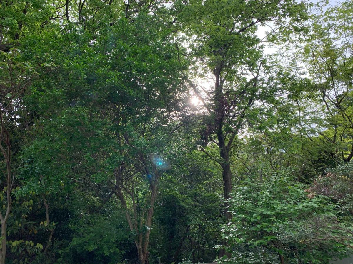 Futo Forest Villa Olive المظهر الخارجي الصورة